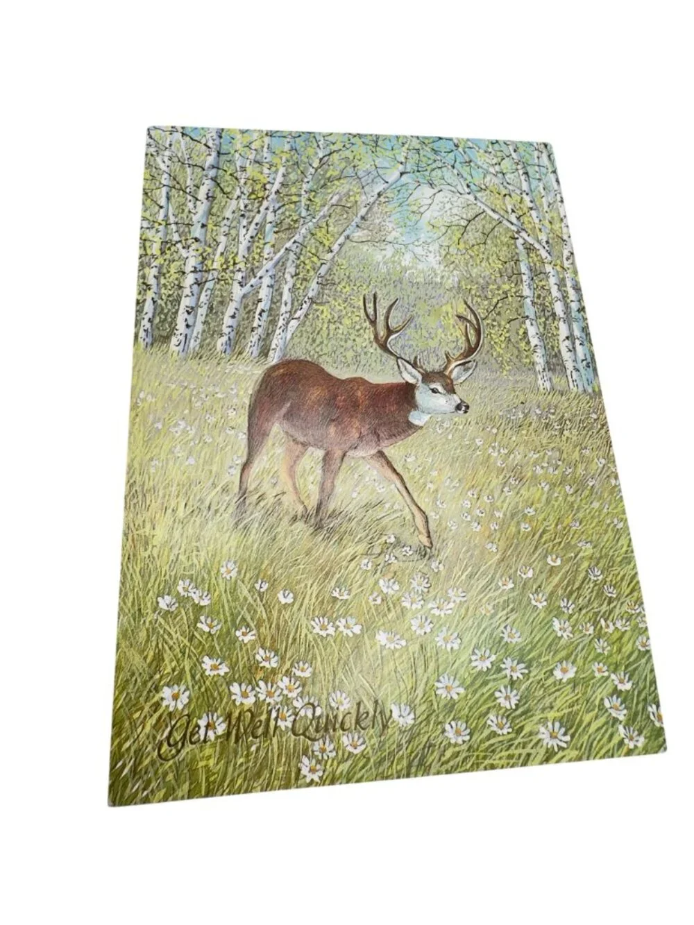 Vtg Famous Artists Studios Greeting Cards Set Of 5 Get Well Soon & Birthday
